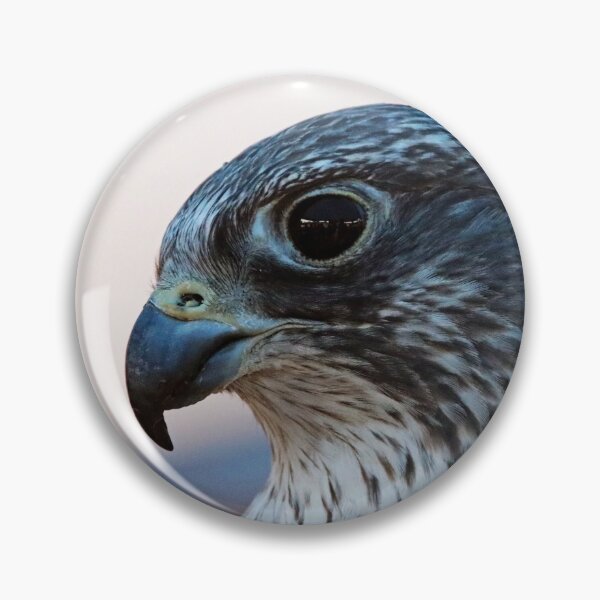 Item preview, Gyrfalcon designed and sold by Deb Oppermann.