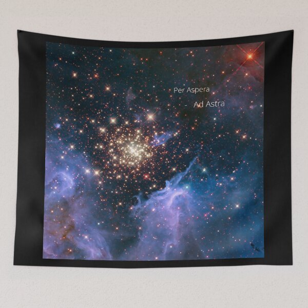 Item preview, per aspera - ad astra designed and sold by anni103.