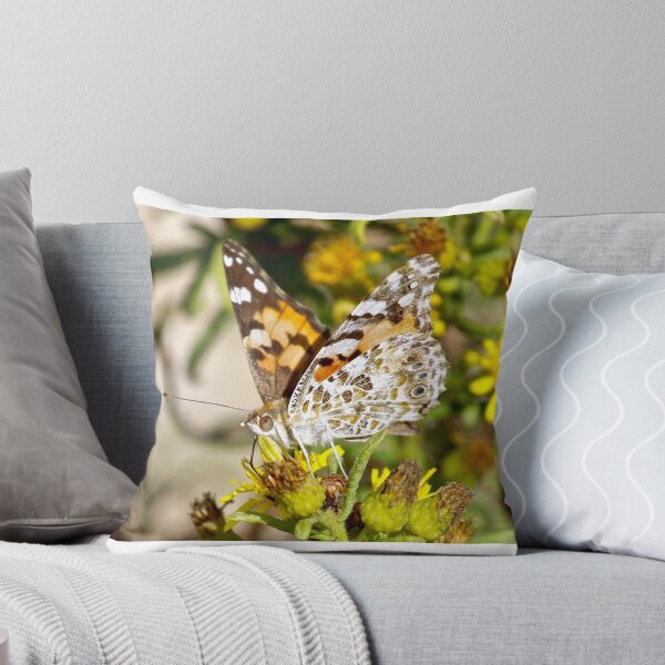 Item preview, The Painted Lady designed and sold by dilouise.