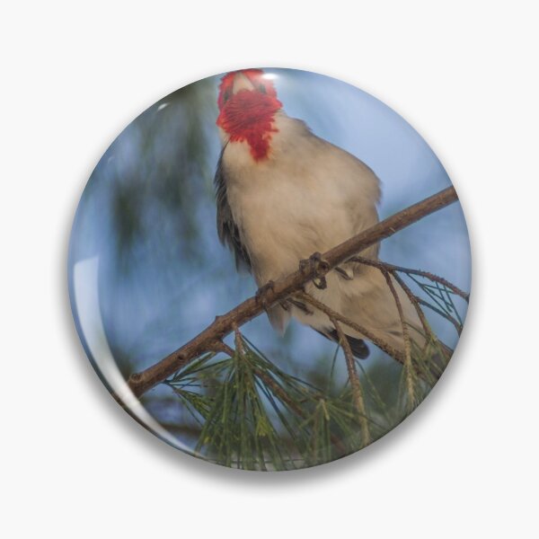 Item preview, Red Crested Cardinal designed and sold by KensLensDesigns.