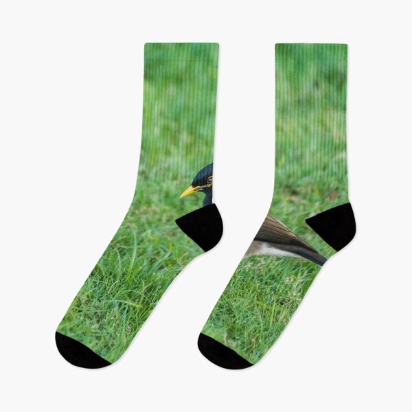 Item preview, Common Myna designed and sold by KensLensDesigns.
