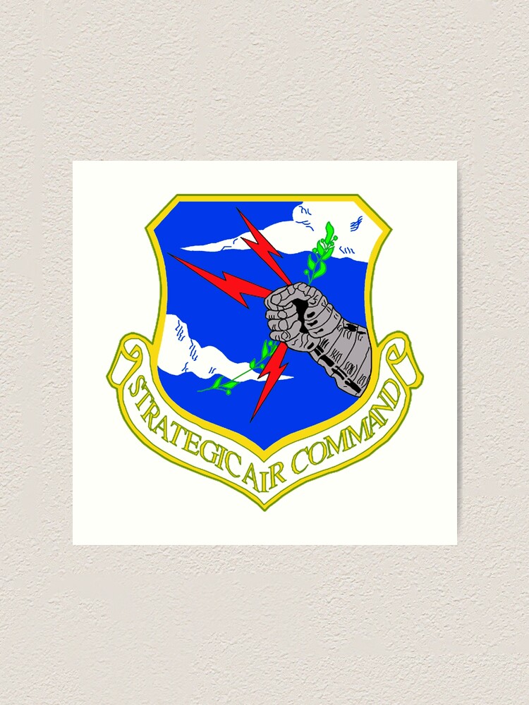 Amazon.com: Strategic Air Command : Home & Kitchen