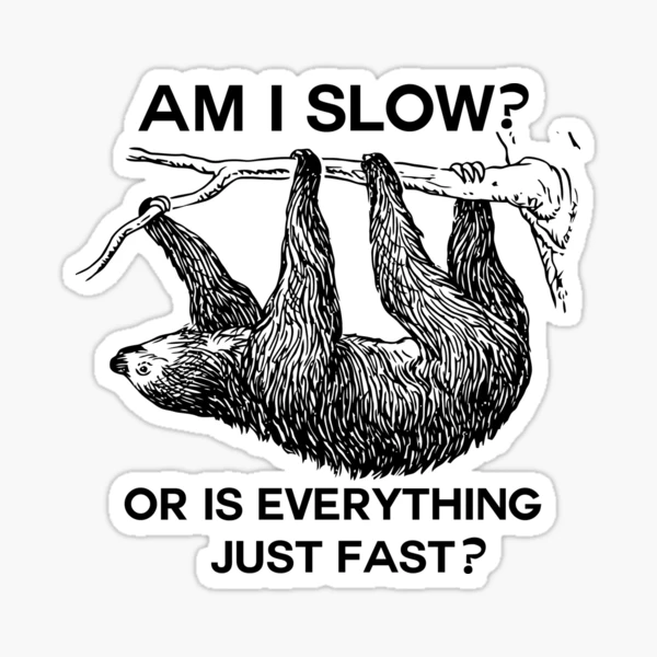 Sloth am I slow Sticker for Sale by ironydesigns