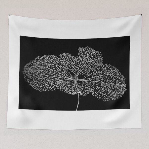 Item preview, Leaf Skeleton designed and sold by Nigel R Bell Photography.