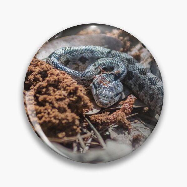 Item preview, cottonmouth 2 designed and sold by KensLensDesigns.
