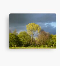 atmospheric Canvas Print
