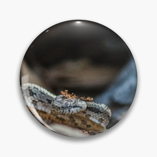 Item preview, cottonmouth designed and sold by KensLensDesigns.