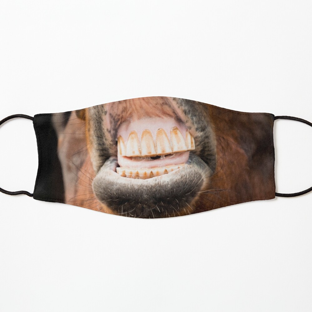 horse teeth mask