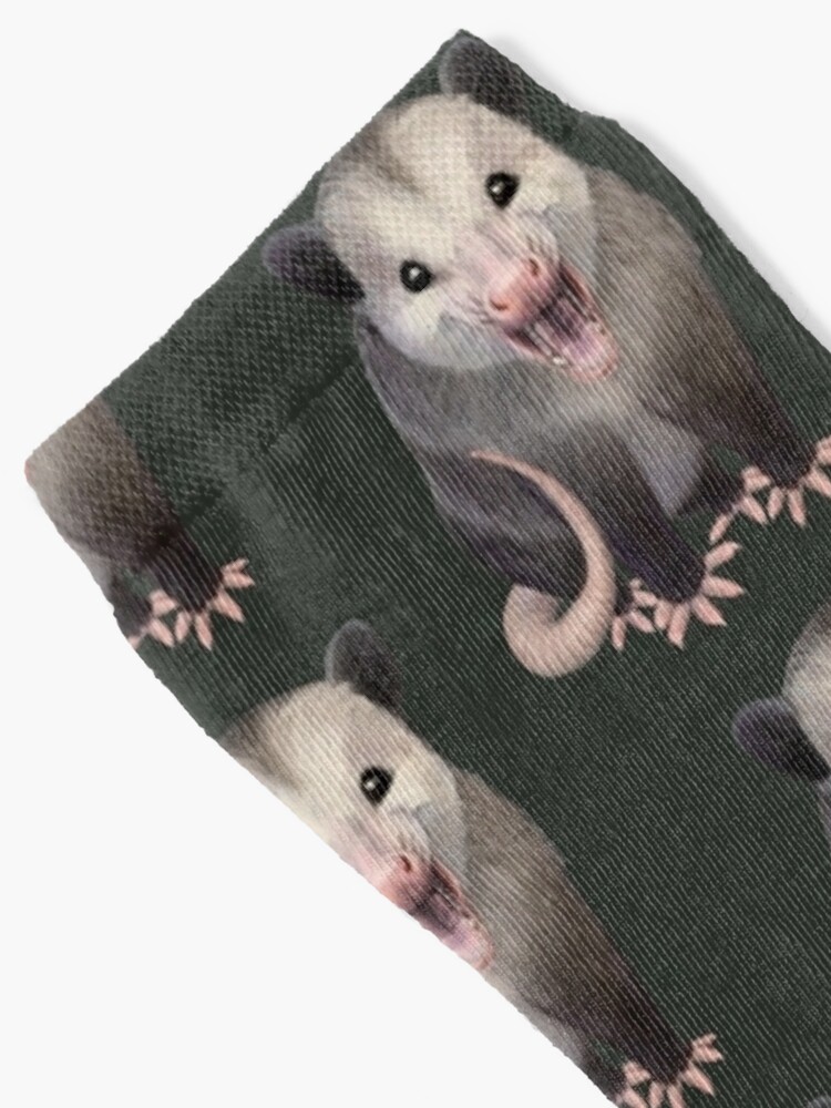 Disover Happy Possum Socks