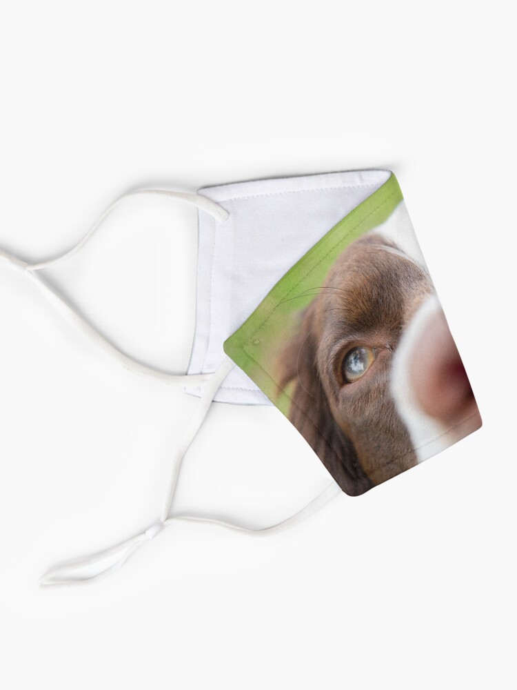 Alternate view of Nosy Springer Spaniel Mask