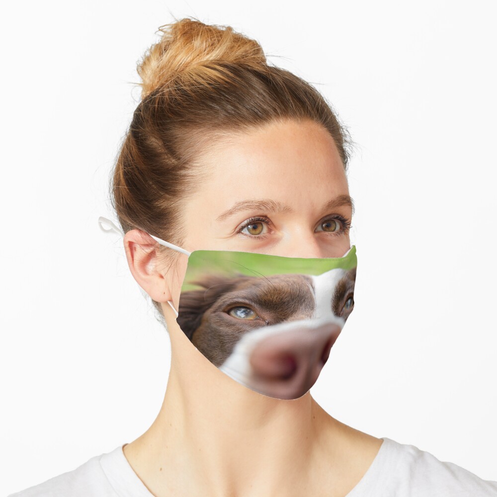 Nosy Springer Spaniel Mask