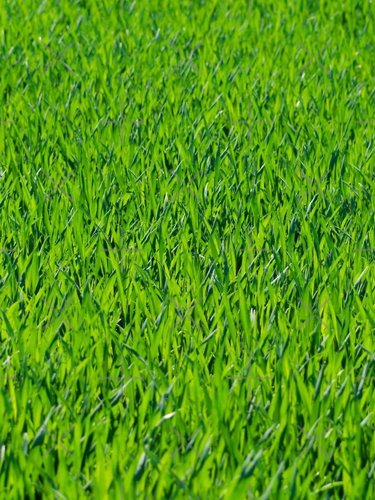 Thumbnail 4 of 4, Samsung Galaxy Phone Case, Grass [Roufxis-Rb] designed and sold by RoufXis.