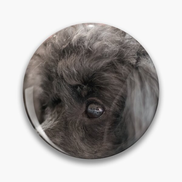 Item preview, Poodle Toy designed and sold by KensLensDesigns.