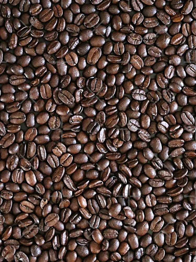 Thumbnail 4 of 4, iPhone Case, Coffee Beans [Roufxis-Rb] designed and sold by RoufXis.