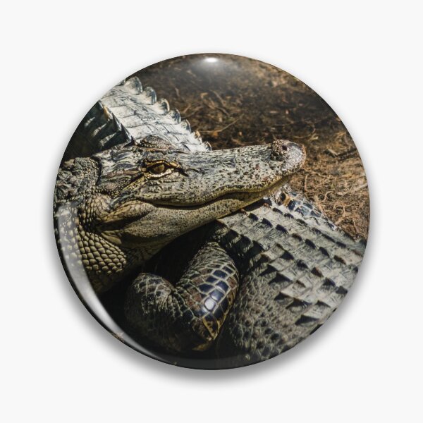Item preview, American alligators designed and sold by KensLensDesigns.
