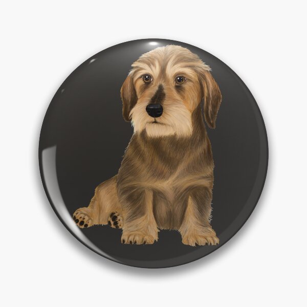 Item preview, Wirehaired Dachshund sitting dog designed and sold by Mehu.