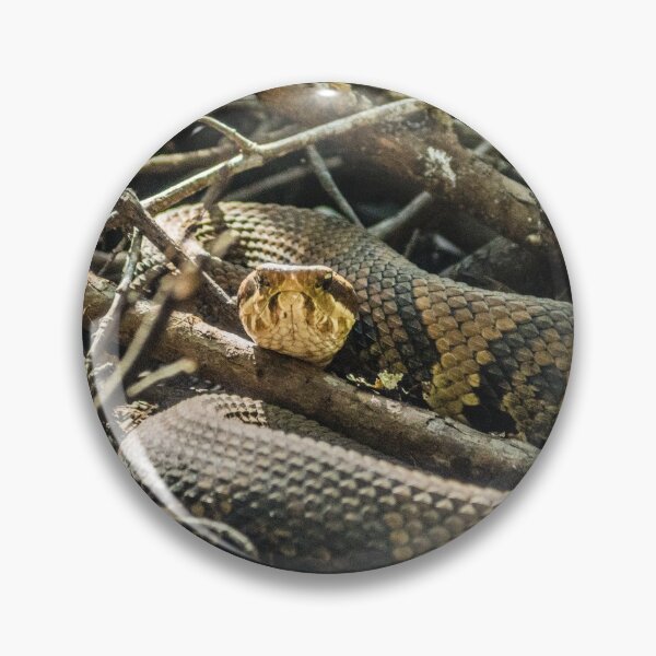 Item preview, cottonmouth designed and sold by KensLensDesigns.