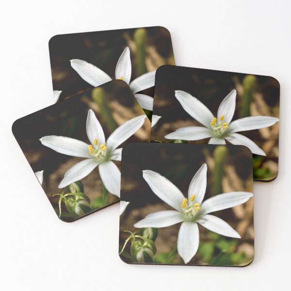 Item preview, White Flower designed and sold by chrispricephoto.