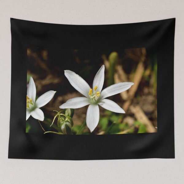 Item preview, White Flower designed and sold by chrispricephoto.