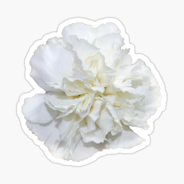 375x360.u1.png!
http://rdbl.co/1CAnefO
! http: //ih3.redbubble.net/image.53271034.6734/sticker Pegatina