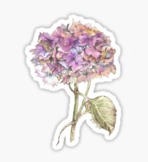 Herbst Hortensie Sticker