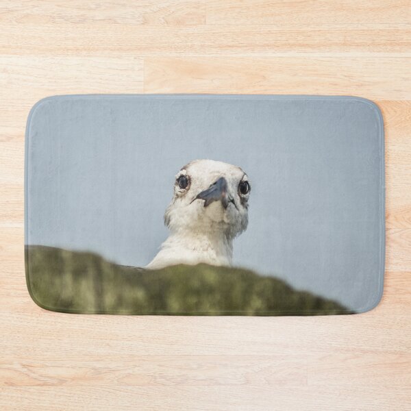Item preview, Ring-billed gull designed and sold by KensLensDesigns.