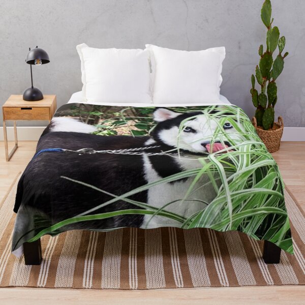 Item preview, Pee-a-boo Husky Photograph designed and sold by bipolarvirgoart.