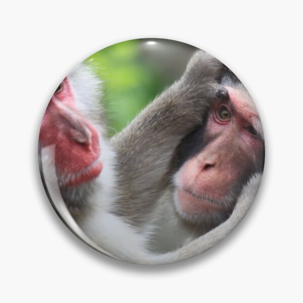 Item preview, Japanese Macaques designed and sold by margotk.