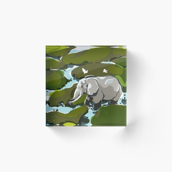 Acrylic Block
