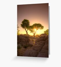 Shading Sunset Greeting Card
