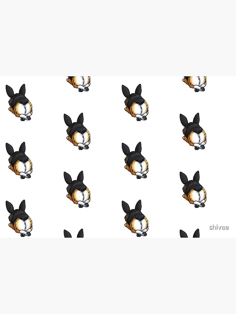 "Fluffy Butt" Corgi by shivae