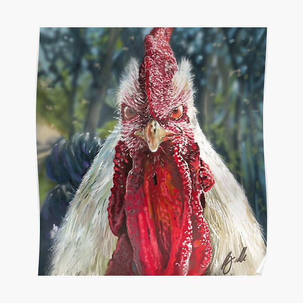 A Rooster Adult Male Chicken Cock Bird Painting by Joseph 