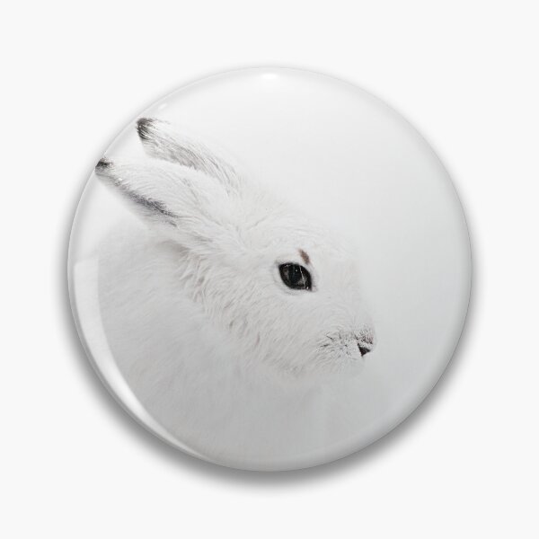 Item preview, ARTIC HARE 1 by Monika Strigel designed and sold by SunlightStudios.