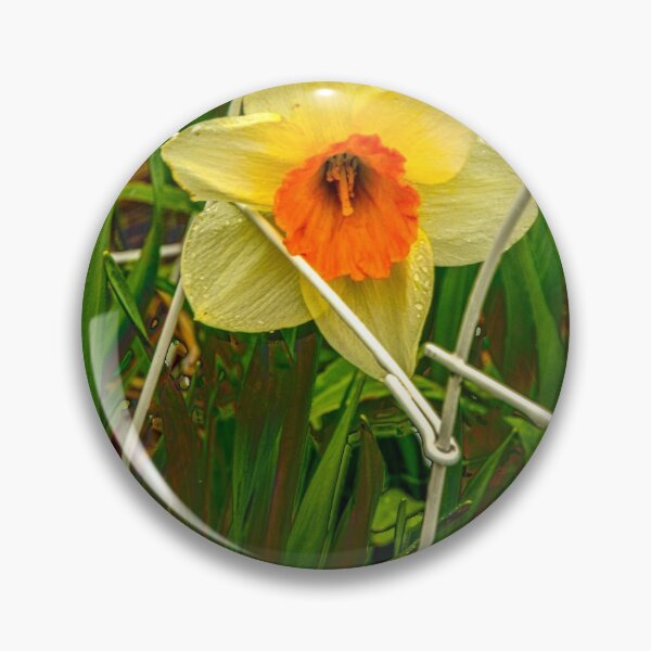Item preview, Narciso enjaulado en HDR designed and sold by Bryan Spellman.