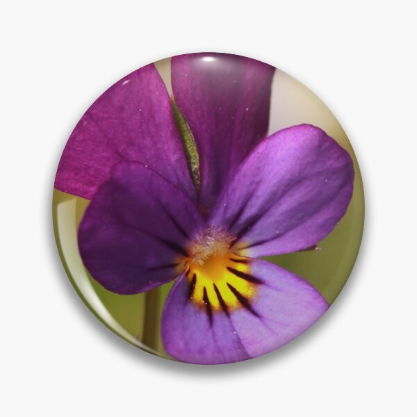 Item preview, Wild pansy (Viola tricolor) designed and sold by Jon Lees.