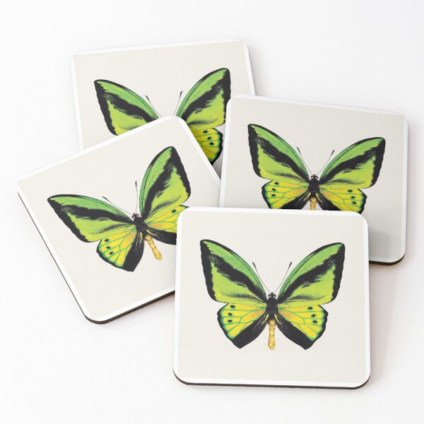Item preview, Goliath birdwing (Ornithoptera goliath) designed and sold by WhileIWonder.