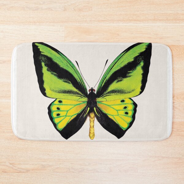 Item preview, Goliath birdwing (Ornithoptera goliath) designed and sold by WhileIWonder.