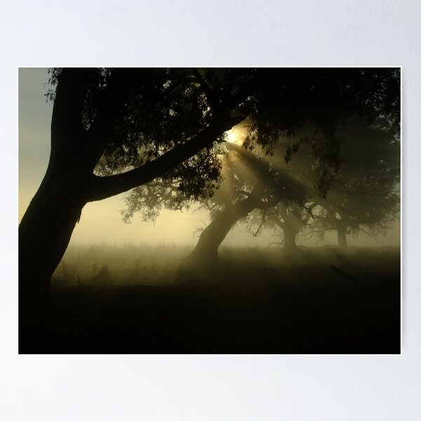 Item preview, Infused with Light designed and sold by Enivea.
