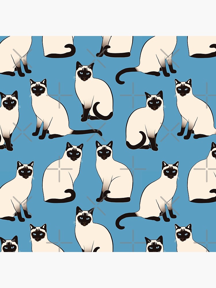 Siamese Cats sparse on blue by nadyanadya