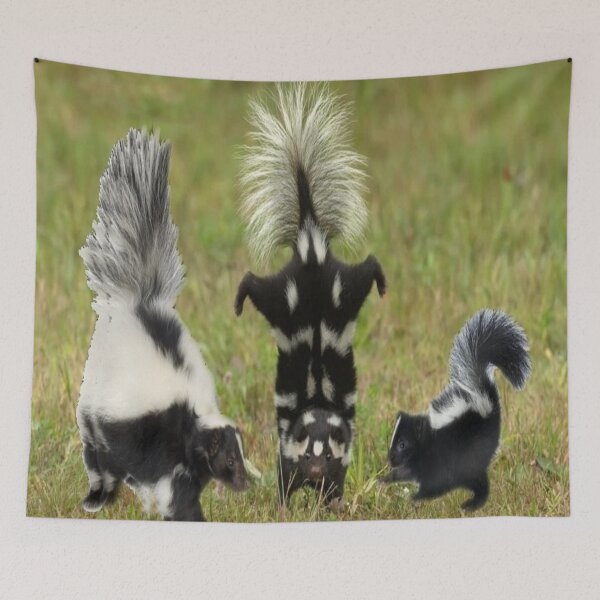 Item preview, Skunk fun designed and sold by BellsPainting.