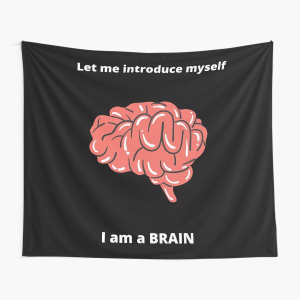 Ironic Memes Tapestries Redbubble - brain poptart roblox