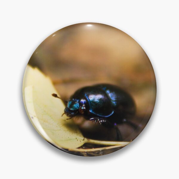 Item preview, Beetle and his journey designed and sold by Dominika Aniola.