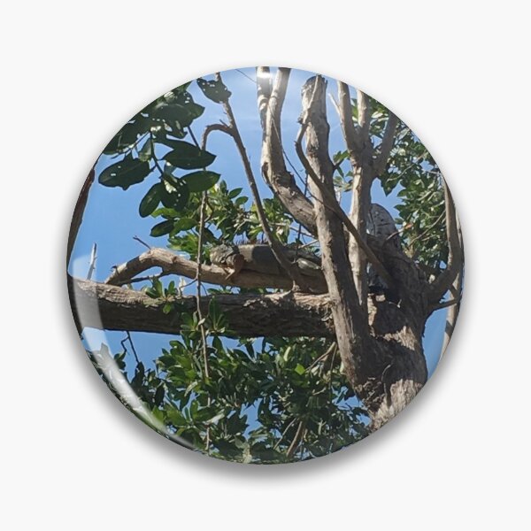 Item preview, Florida Keys Tree designed and sold by trulypeachy1.