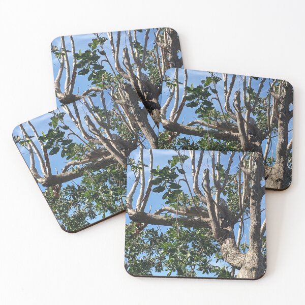 Item preview, Florida Keys Tree designed and sold by trulypeachy1.