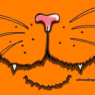Vorschaubild zum Design Nosy Cat in Orange von Schrödingers Box