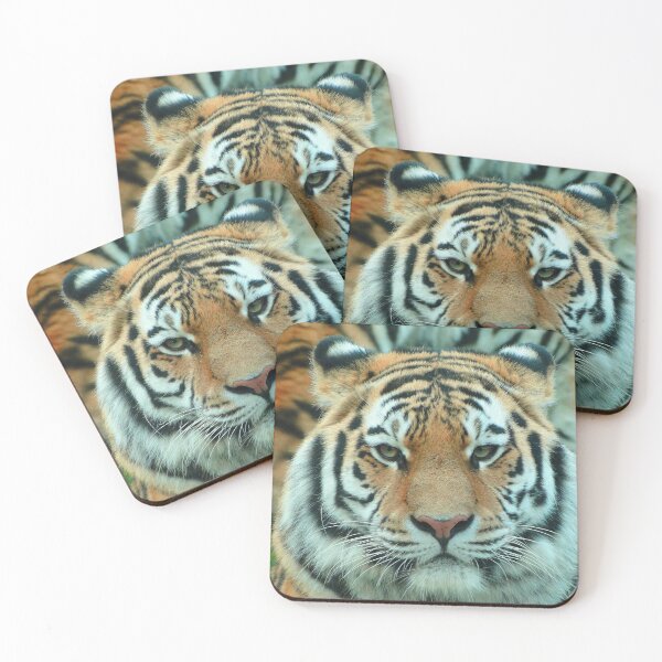 Item preview, Amur Tiger designed and sold by rocketfoot7.