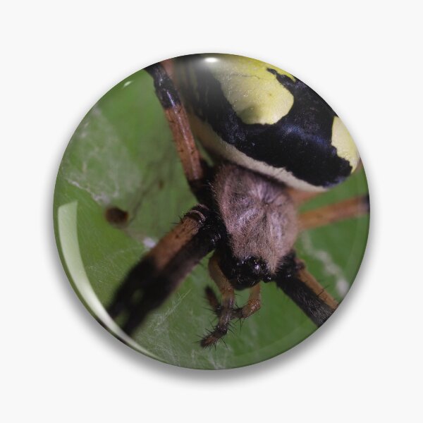 Item preview, Spider designed and sold by HectorCantres.