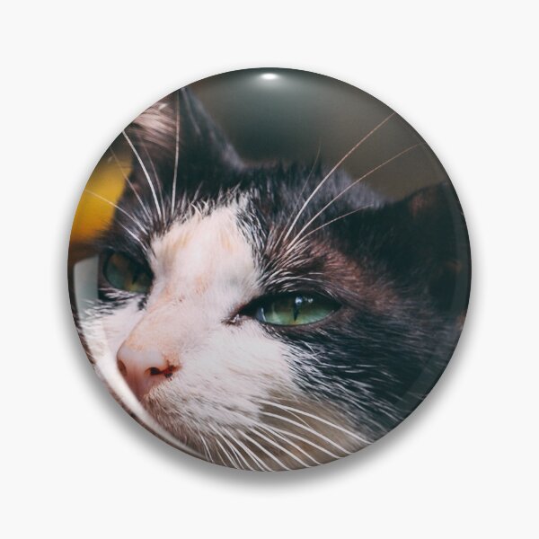 Item preview, Catmask designed and sold by stickart-marek.