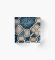 Fuel Injection Acrylic Block