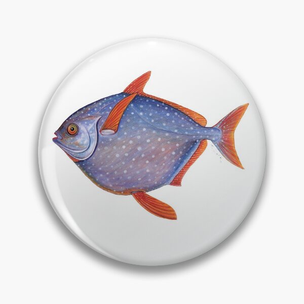 Item preview, Opah (Lampris guttatus) designed and sold by Tamara Clark.